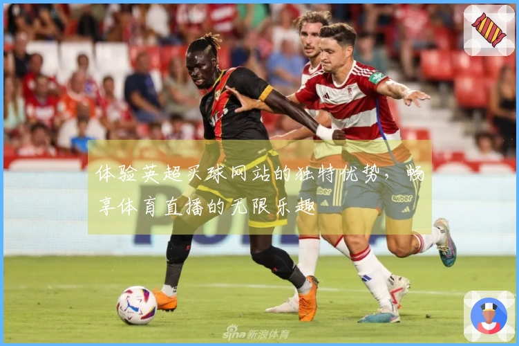 体验英超买球网站的独特优势，畅享体育直播的无限乐趣