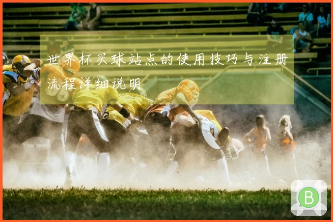 世界杯买球站点的使用技巧与注册流程详细说明